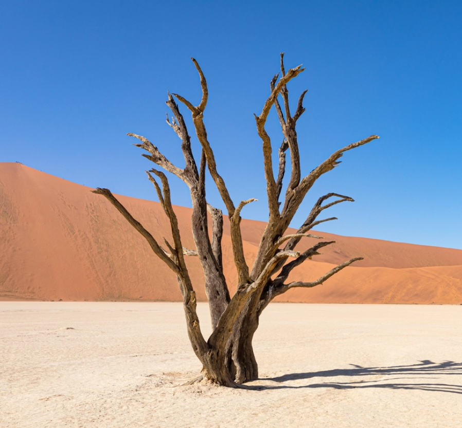 Sossusvlei, Namibia